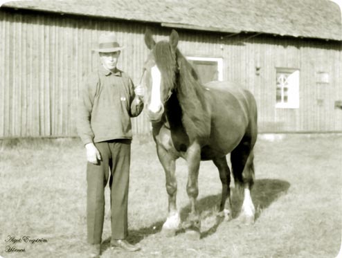 Häst 1930